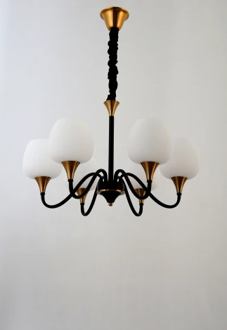 Подвесная люстра Rivoli Emarita 2049-206