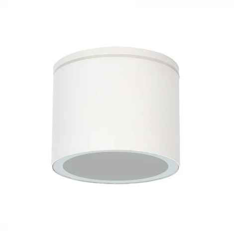 Потолочный светильник уличный Arte Lamp Piautos A1913PF-1WH (220V, круглые, IP54)