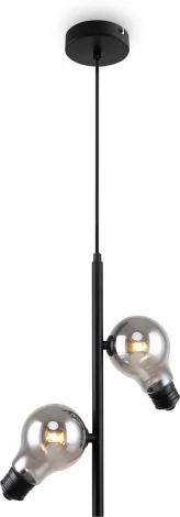 Подвесной светильник Freya Evidence FR5372PL-02B (220V, на проводе)