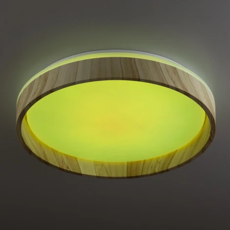 Потолочный светильник RGB круглый светодиодный с пультом Citilux Enzo CL753352G (220V, круглые)