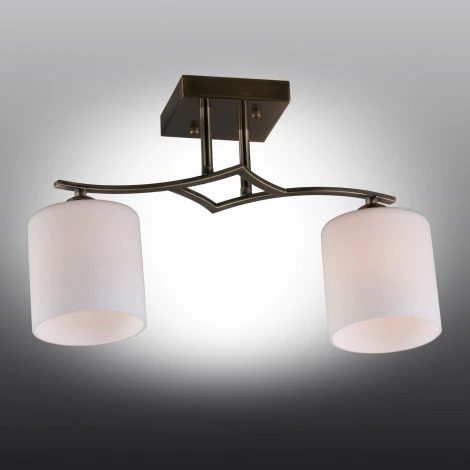 Потолочная люстра Omnilux Pisticci OML-55317-02 (220V)