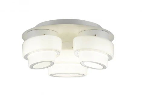 Потолочный светильник ST Luce Ovale SL546.502.03