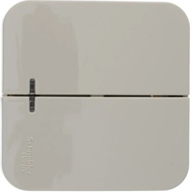 Выключатель накладной двухклавишный с подсветкой (бежевый) Systeme Electric Blanca BLNVA105117