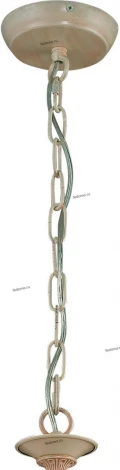Потолочная люстра Toplight Susanna TL7290X-05RY