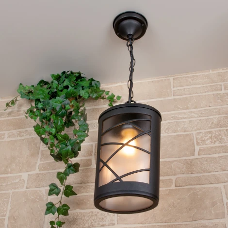 Уличный светильник подвесной Elektrostandard Premier GL 1017H (220V, на цепи, IP44)