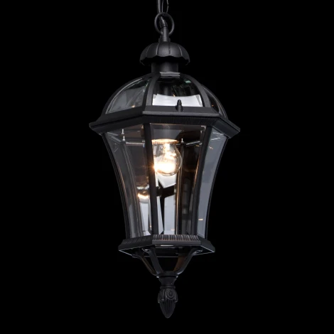 Уличный светильник подвесной DeMarkt Сандра 811010301