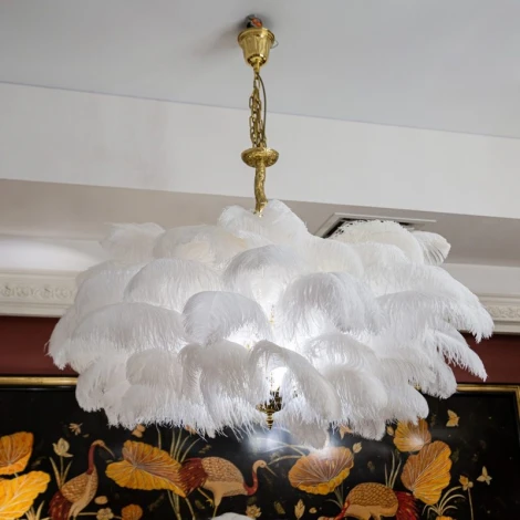 Подвесной светильник L'Arte Luce Feather Lamp L03408.02