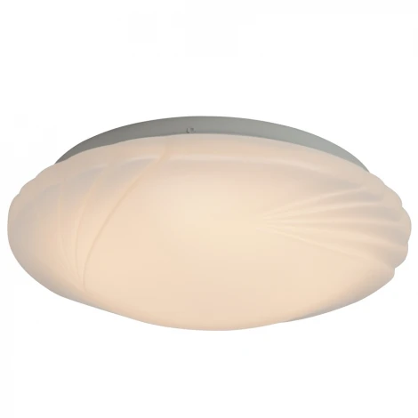 Настенно-потолочный светильник Brilliant Fiala G94216/05