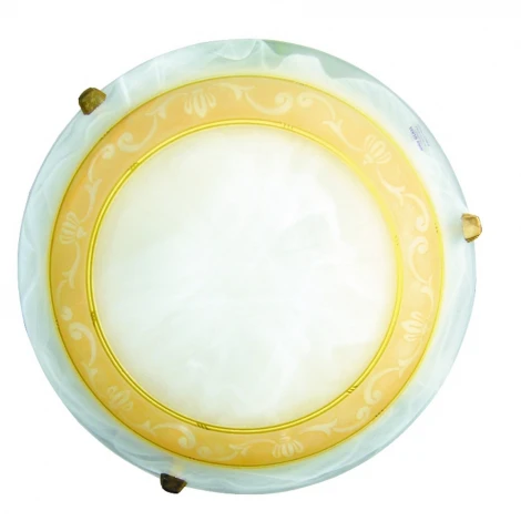 Настенно-потолочный светильник Arte Lamp Royal A3140PL-2GO