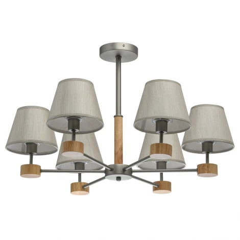 Потолочная люстра MW-Light Форест 693011906