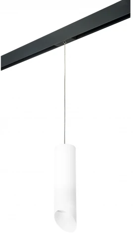 Трековый светильник однофазный 220V Lightstar Rullo PRORP649686 (круглые)