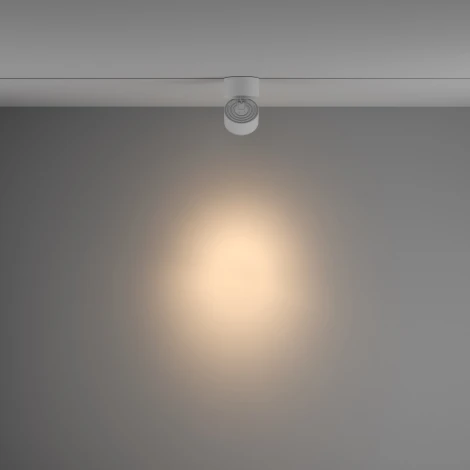 Трековый светильник Yin Unity 3000K 15Вт 24° LED (однофазный) Maytoni Technical TR084-1-15W3K-W (220V, круглые)