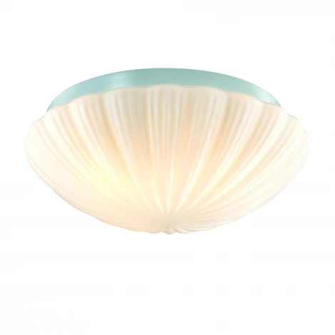 Потолочный светильник ST Luce Bagno SL495.502.03