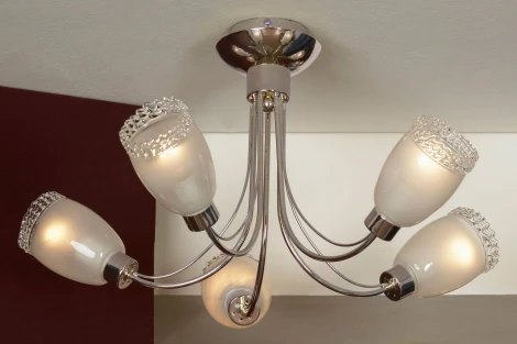 Потолочная люстра Lussole Bareggio LSL-3203-05