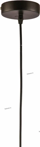 Подвесной светильник ST Luce Ceppo SLD971.503.01