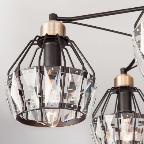 Потолочная люстра Eurosvet Lord 70075/5 черный (220V)