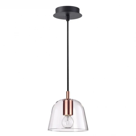 Подвесной светильник Lumion Joseph 4455/1