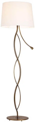 Торшер для чтения Lussole Loft Ajo GRLSP-0552 (220V, IP21)