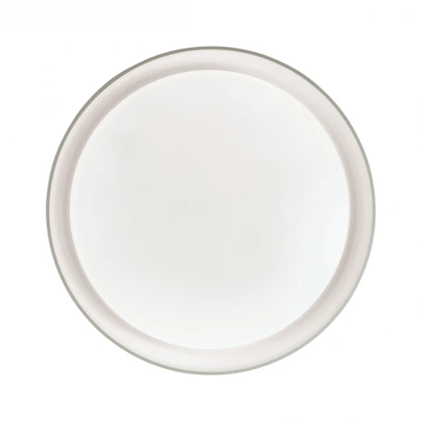 Настенно-потолочный светильник Sonex Bionic 3030/DL (LED, 220V, пульт управления, управление смартфоном, умный дом - LampSmart, круглые, IP43)
