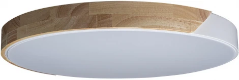 Потолочный светильник круглый Loft IT Axel 10004/36 White (LED, 220V, круглые)