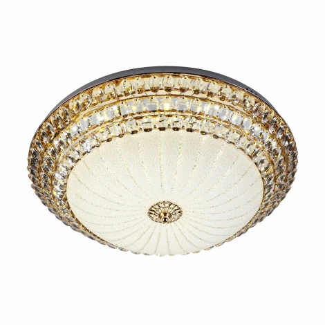 Потолочный светильник светодиодный с пультом с регулировкой цветовой температуры и яркости LED4U LED4U L1101-550 GD