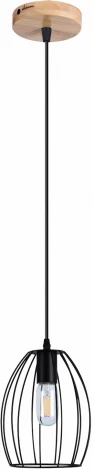 Подвесной светильник ILLUMICO IL1011-1P-05 BK (220V, на проводе)