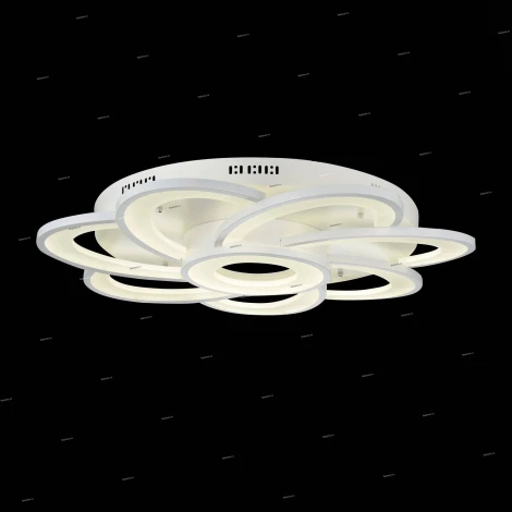 Потолочный светильник уличный ST Luce Petalo SL909.102.08