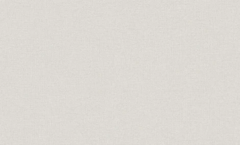 Обои виниловые Erismann Jacklin 60111-02 10,05 x 1,06 м