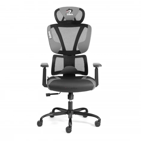 Кресло Tetchair iCobra