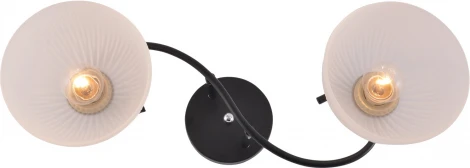 Потолочная люстра на штанге Reluce 01635-0.3-02 BK+CR