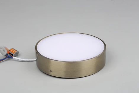 Потолочный светильник круглый Aployt Evon APL.0113.29.18 (LED, 220V, круглые)