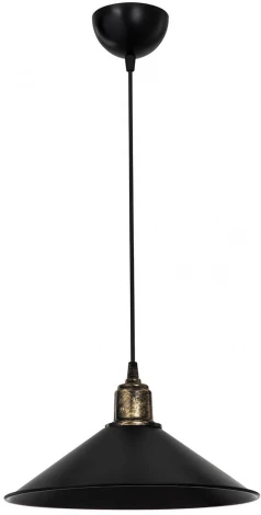 Подвесной светильник TopLight Delilah TL1606H-01BK
