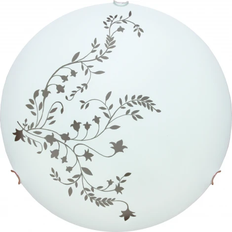 Настенно-потолочный светильник Arte Lamp Ornament A3820PL-2CC