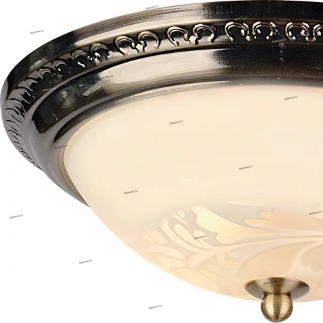 Потолочный светильник Arte Lamp Alta A3009PL-2AB