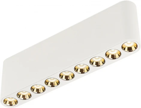 Потолочный линейный светильник Odeon Light Small 7091/21CL белый/металл/акрил LED 21W 3000K 220V