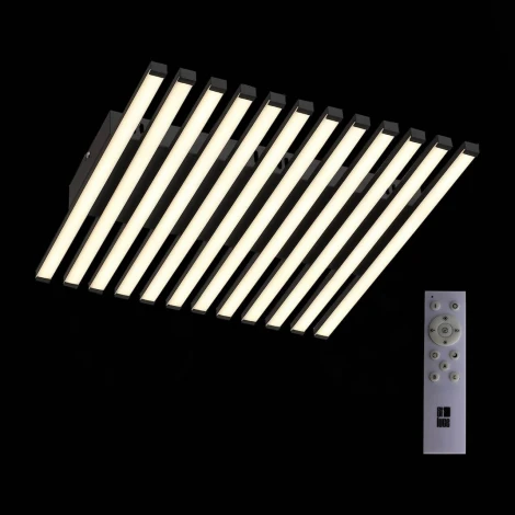Потолочная люстра ST Luce Paralleli SL839.402.18