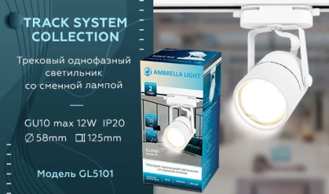 Трековый светильник Ambrella GL GL5101 (220V, круглые)