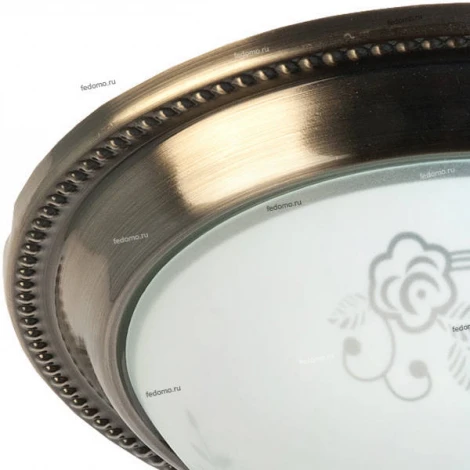 Потолочный светильник Toplight Molly TL5020Y-02AB
