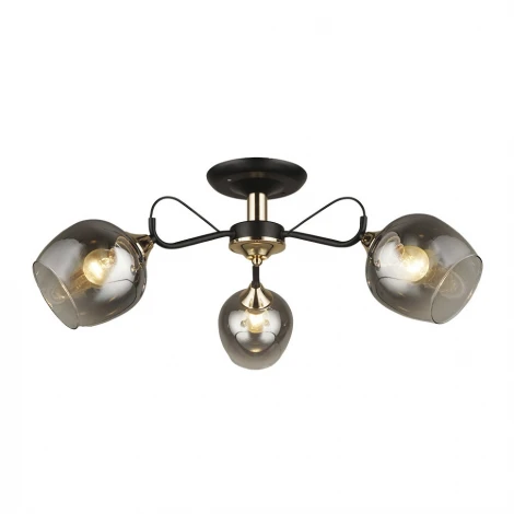 Потолочная люстра Wedo Light Isora 66606.01.69.03