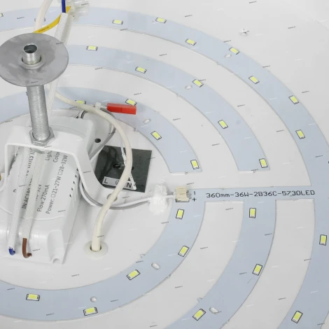 Collezioni Alaska NC 54131/8R old