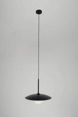 Подвесной светильник Zortes Lümi ZRS.2436.40 (220V, на проводе, шар, IP21)