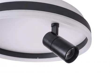 Потолочный светильник круглый со спотом Zortes Raizy ZRS.1888.03 (LED, 220V, круглые)