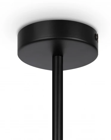 Потолочная люстра на штанге Maytoni Memory MOD177PL-04B (220V)