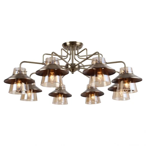 Потолочная люстра Lussole Lgo Cochise LSP-8079 (220V, IP21)