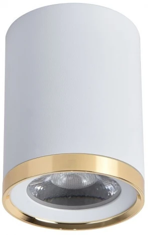 Точечный светильник накладной Favourite Prakash 3085-1C (LED, 220V, круглые)