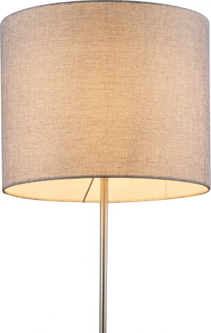 Торшер Globo Paco 15185S