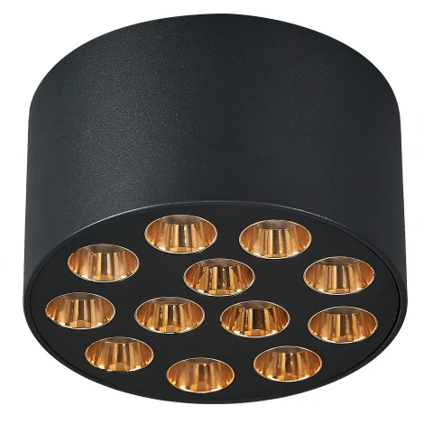 Светильник потолочный Lightstar Guarda 080942 9W 750LM 4000K черный/золото