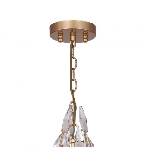 Подвесная люстра Favourite Feerie 1933-5P