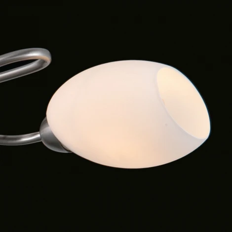 Потолочная люстра Фиеста 267014503