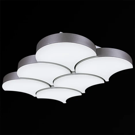 Потолочный светильник светодиодный с пультом Reluce 01218-0.3-06LED (220V)